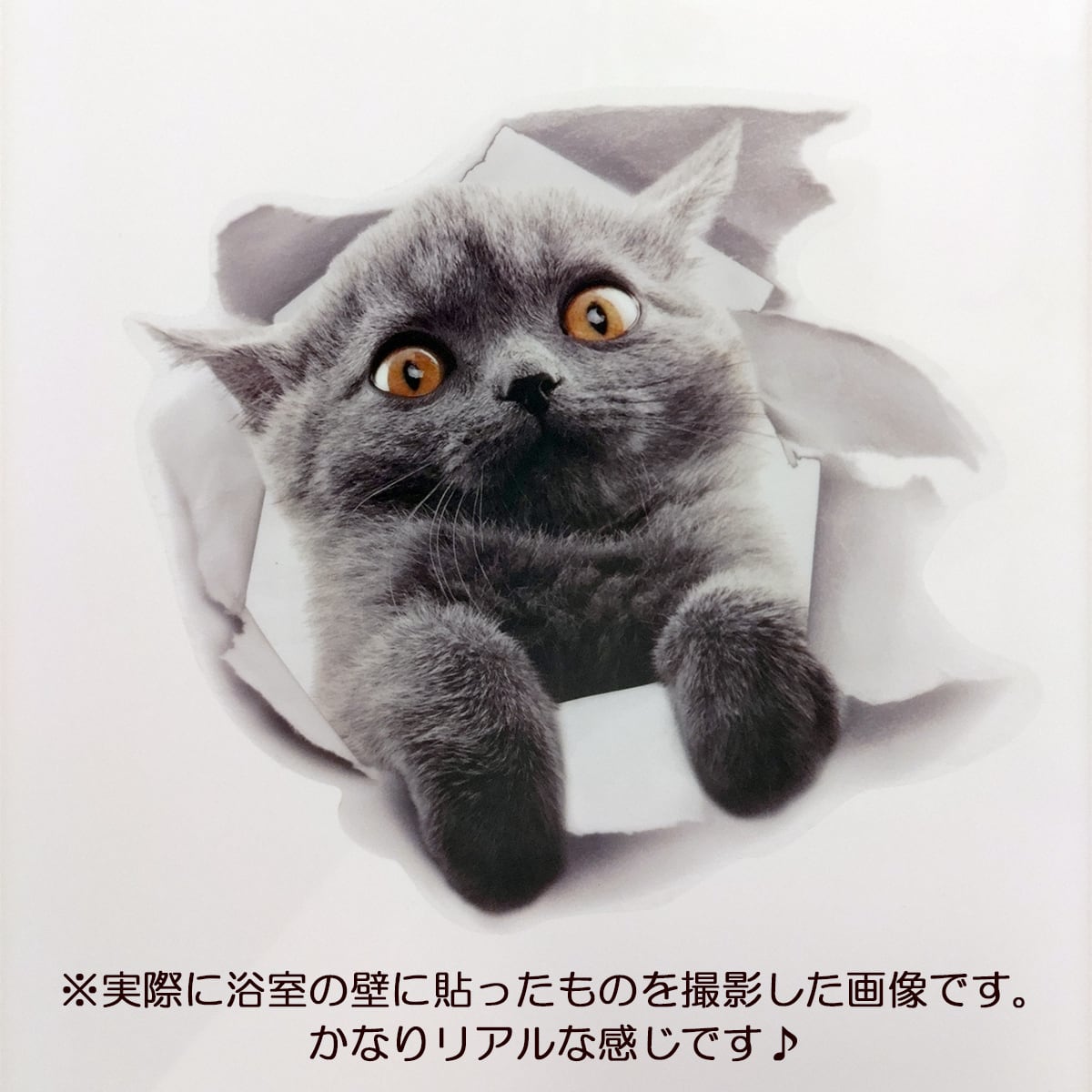 防水ステッカー 猫 ネコ ねこ かわいい イラスト 写真 - 通販 - pinehotel.info
