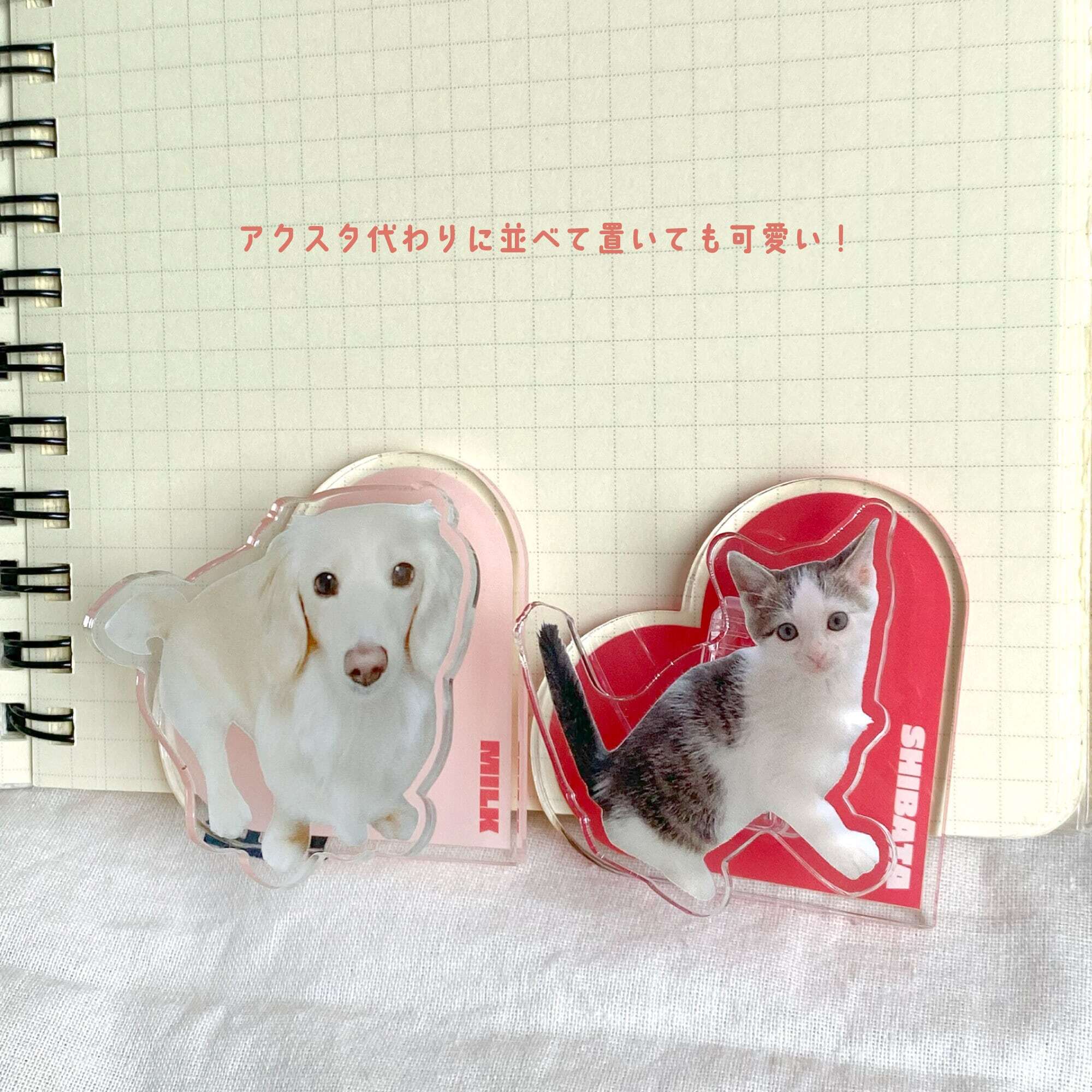 アクリルクリップ 50mm｜写真入り 名入れ｜うちの子 ペット グッズ