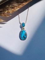 Blue Bird & Sonoran Rose Turquoise 18k Gold concho pendant top