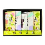 掛川煎茶 五撰詰合せ（100g×5本・箱入り）