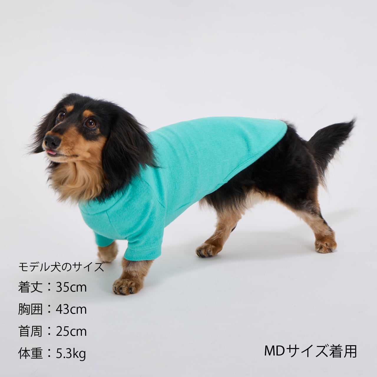 SKIN TIGHT WARM T-SHIRT（XS,S）スキンタイトウォームTシャツ