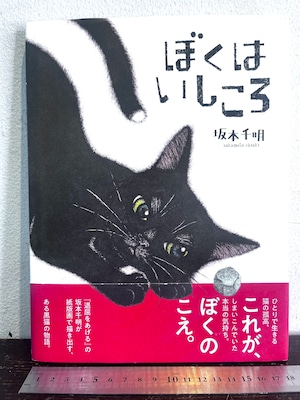 サイン　ぼくはいしころ　坂本千明