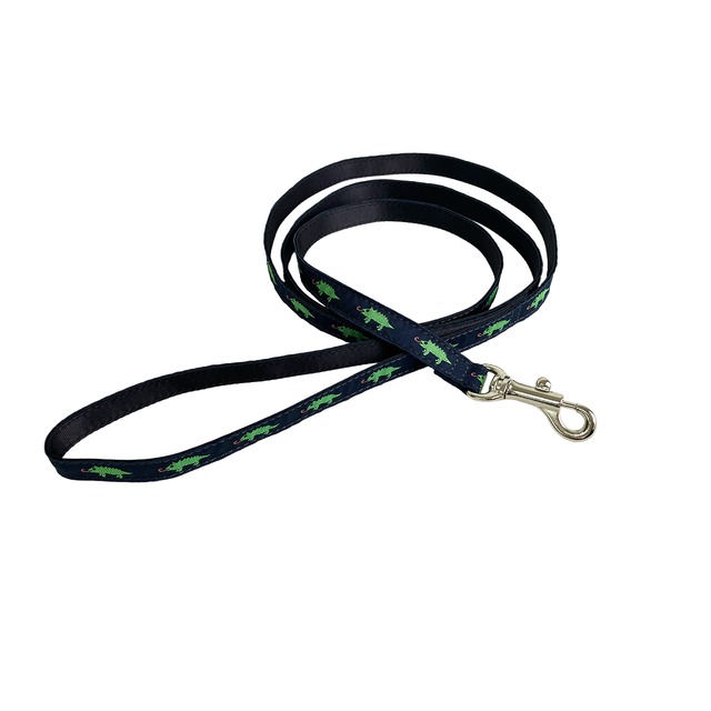 カメレオンリード　グリーン　1.5ｍ