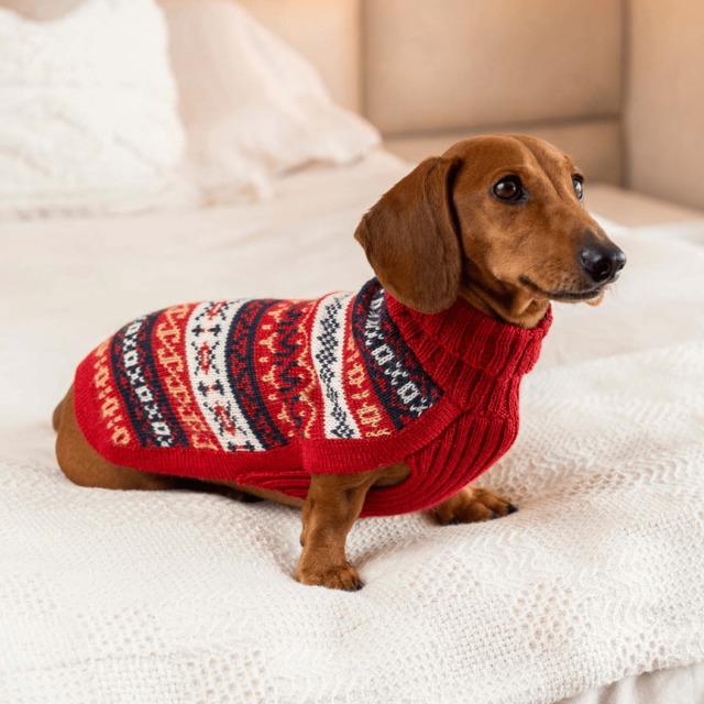 最高級素材 手編みセーター【Alqo Wasi（アルコワシ）】アルパカ ドッグセーター/Heritage Alpaca Dog Sweater