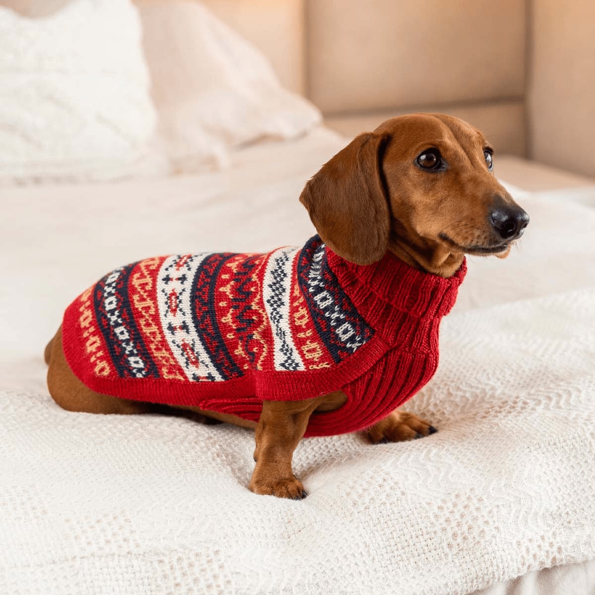 最高級素材 手編みセーター【Alqo Wasi(アルコワシ)】アルパカ ドッグセーター/Heritage Alpaca Dog Sweater