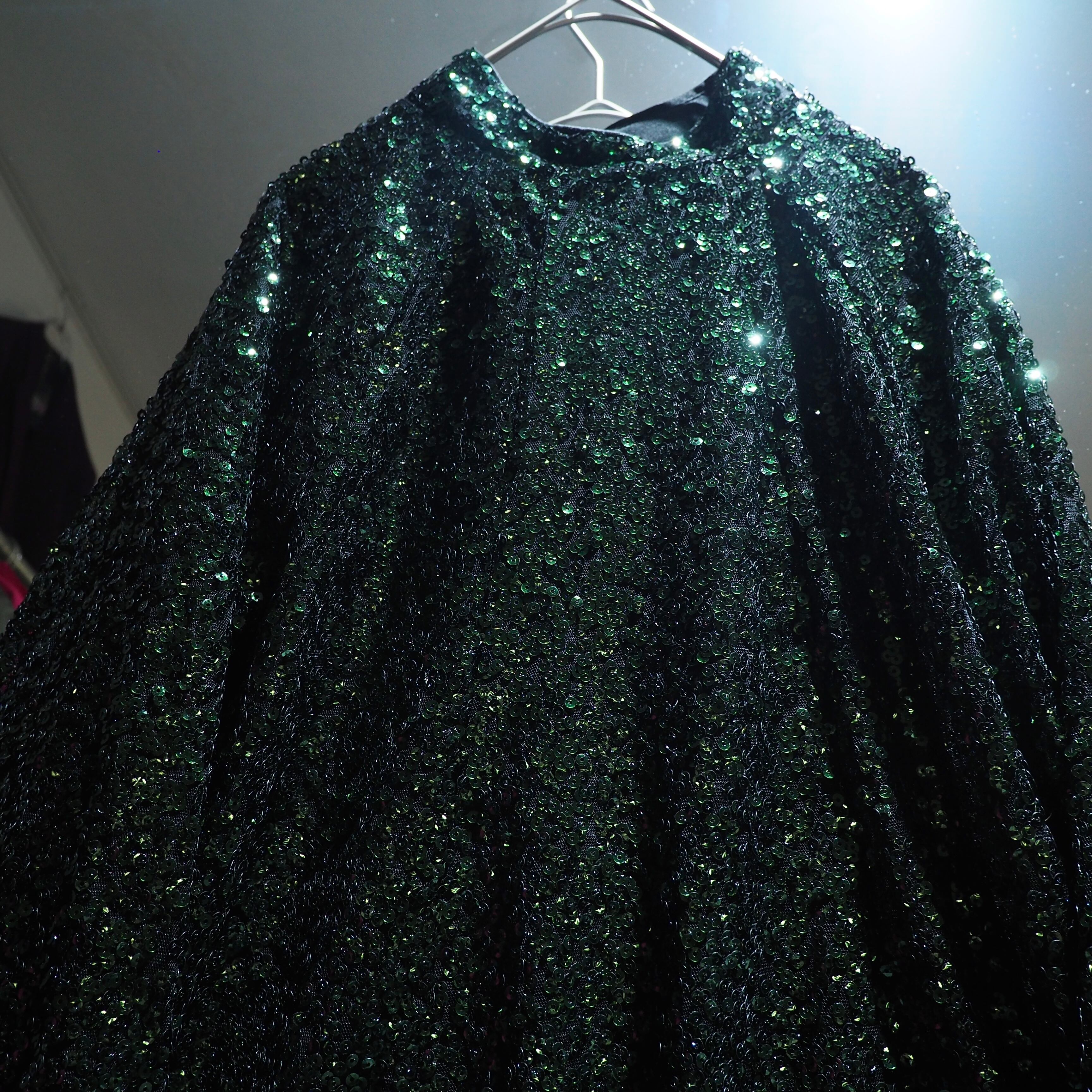 Beautiful Flip sequins Embroidery long sleeve Mock neck