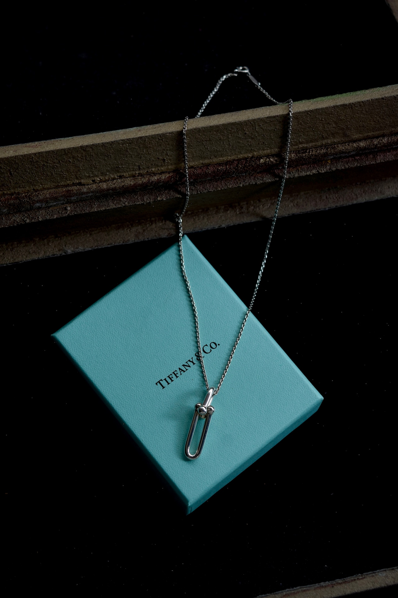 IORI/"Tiffany & Co." pendant/hardwear link