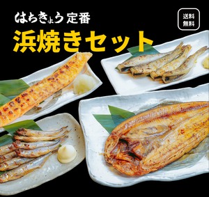 【道産　真ホッケの開き　1枚、サーモンハラス　1本、北海道産　本ししゃも　8尾　氷下魚　一夜干し　４尾】はちきょう定番 浜焼きセット　　北海道の海の幸を手軽に味わう！