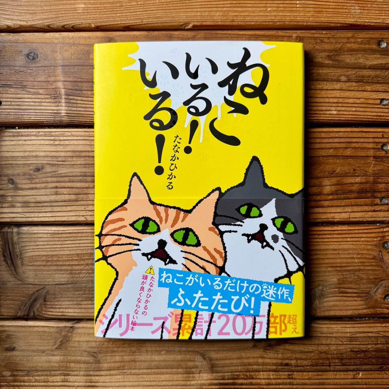 ねこいる！ いる！ | たなか ひかる | 尾鷲市九鬼町 漁村の本屋 トンガ