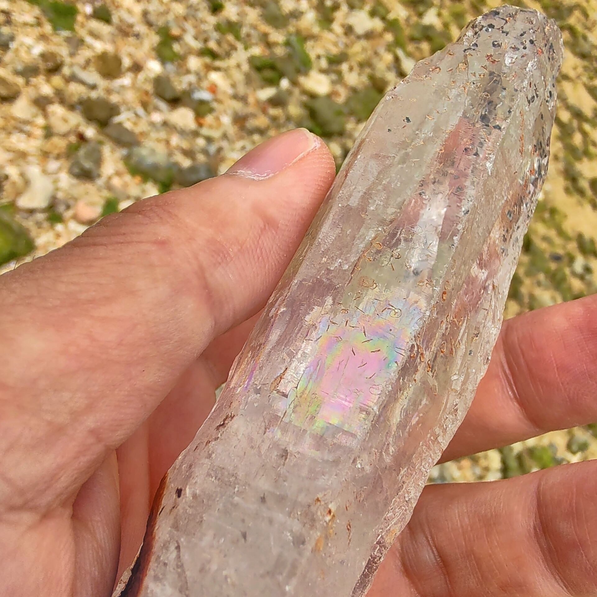 スケルタルクォーツ(SkeletalS Quartz)/ マイカ(雲母) / ライモナイト