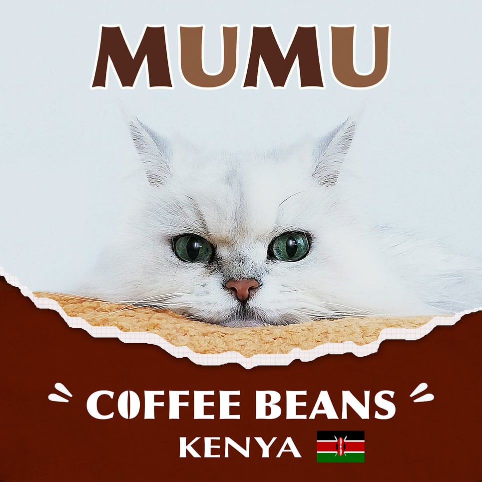 3b156ad9120dc754f62f610908019f