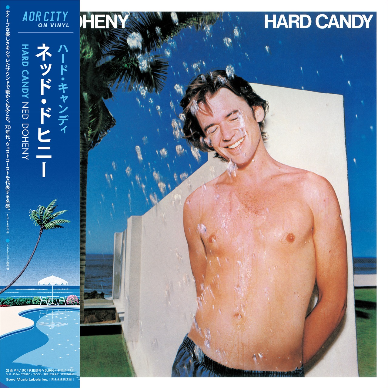 【完全生産限定盤】ネッド・ドヒニー「ハード・キャンディ」アナログ盤（12インチ）