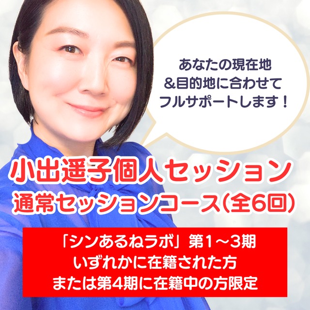 【ラボメンバー限定】小出遥子個人セッション 通常セッションコース（全6回）