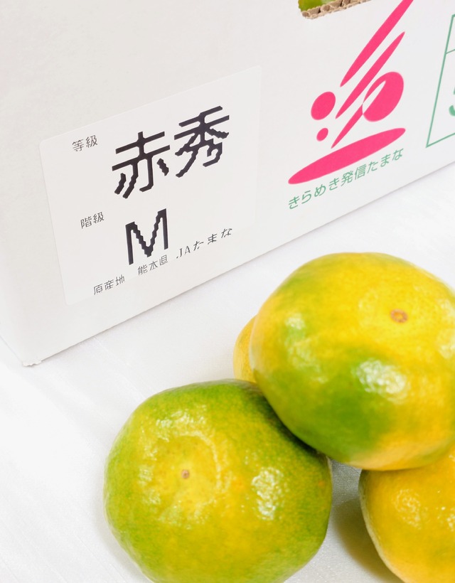 【熊本県産 極早生みかん】Mサイズ/1箱5㎏（約50個入り）　※包装・お熨斗無料