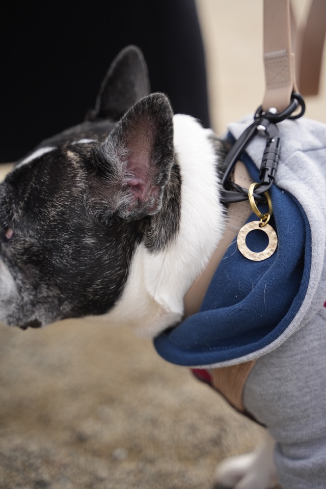 K&Dマスクコード