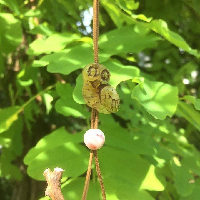 【一点物】✦⋆.八ヶ岳の森の贈り物 ✦⋆.·賢者の石とフクロウと桜の木のアロマボトルネックレス ⋆.·✦