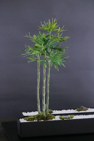 盆栽 竹 Bamboo Bonsai #107