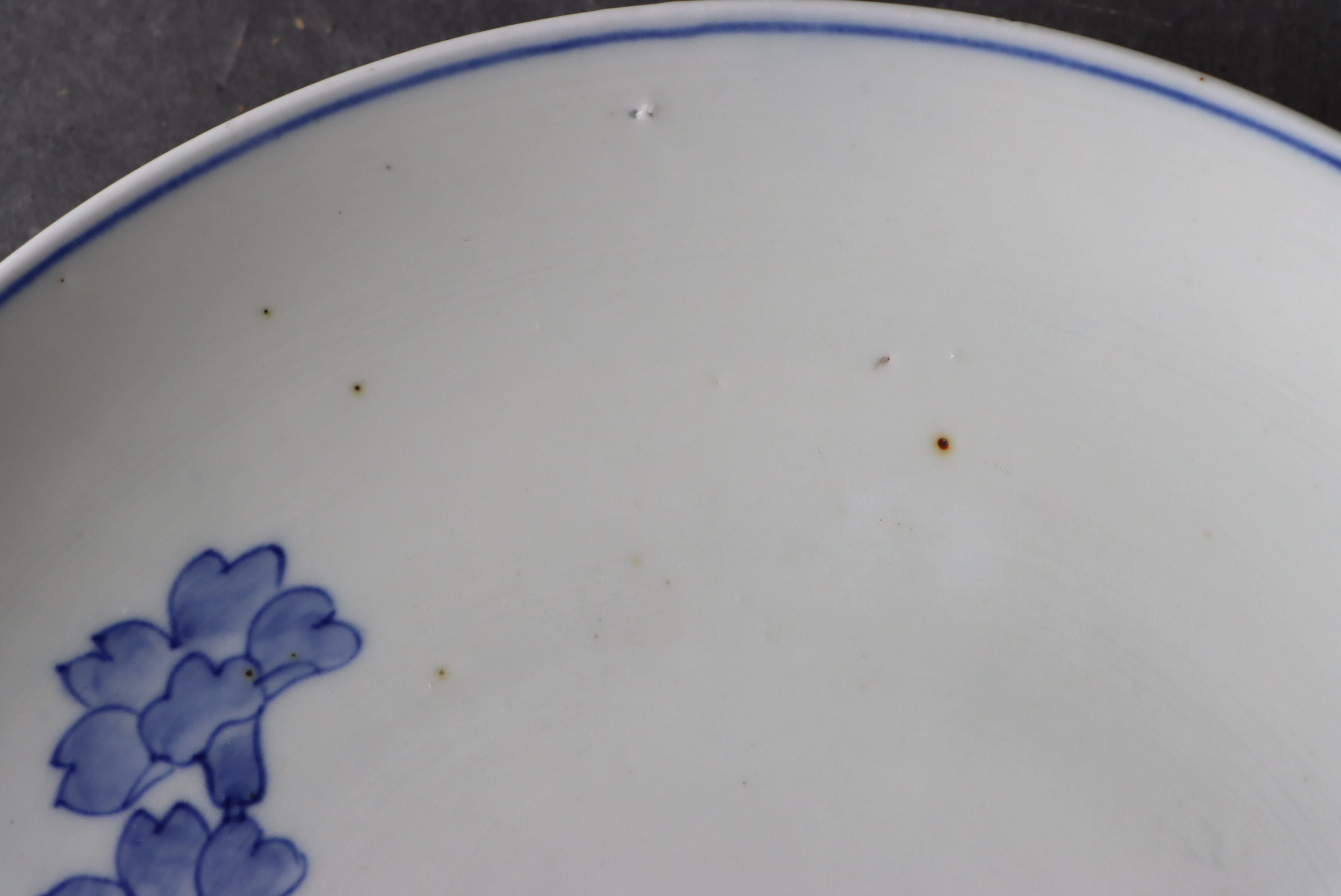 染付 阿蘭陀石竹文 中皿 七寸/Blue and white medium size plate | (有
