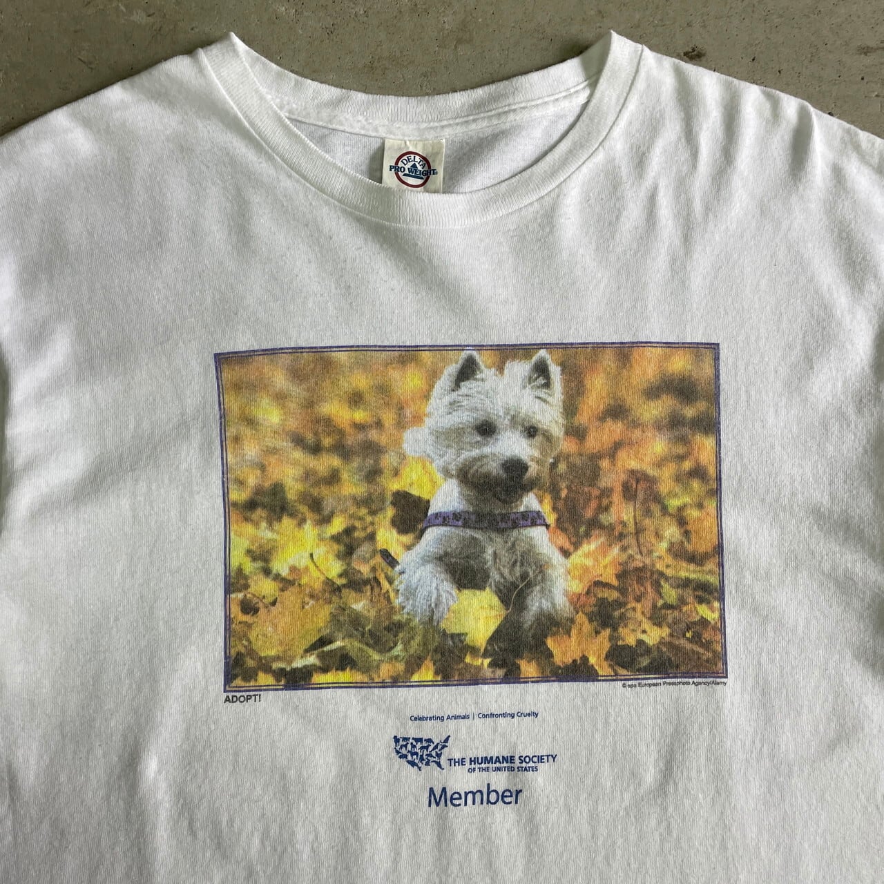 90年代 アニマル イヌ 犬 DOG プリントTシャツ メンズL 古着 90s ビンテージ ヴィンテージ 白色 ホワイト フォト【Tシャツ】 |  cave 古着屋【公式】古着通販サイト