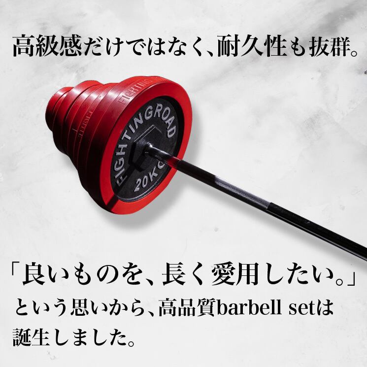 ラバー付バーベルプレート　10kg × 2枚　ファイティングロード ラバー付バーベルプレート 10kg × 2枚 ファイティングロード