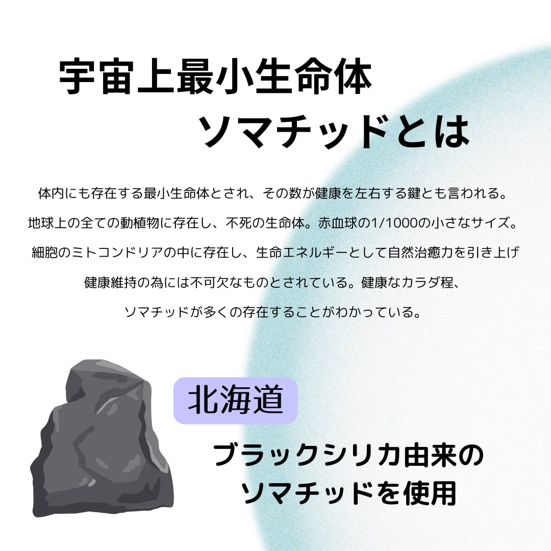水道水を入れるだけ！ソマチッドとテラヘルツの波動水 ポット型浄水器
