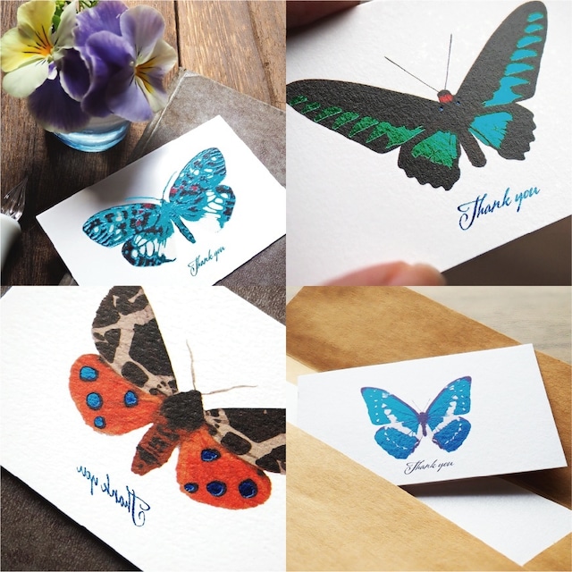 蝶と蛾10種類サンクスカードセット