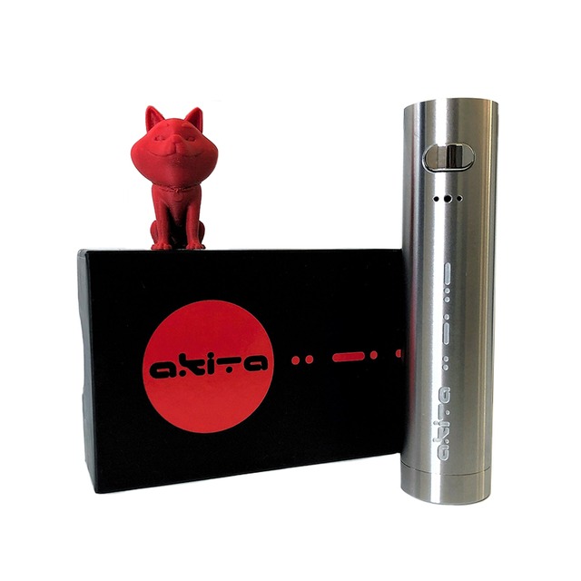 Akita by Ani Modz