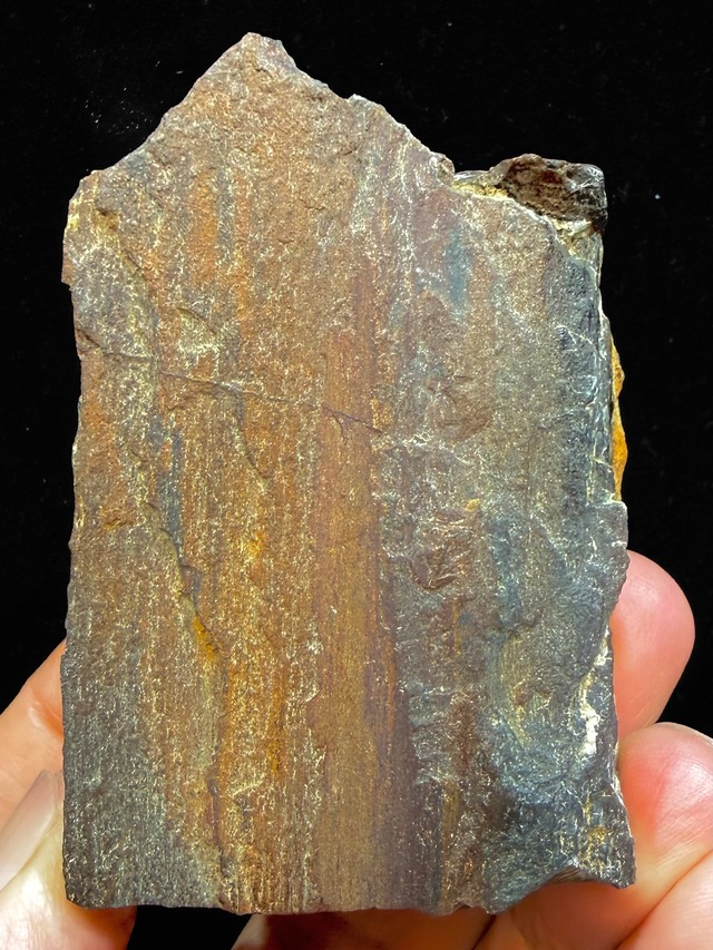 2) 古代の叡智へのアクセス！マウントシャスタ「珪化木」原石(中型)