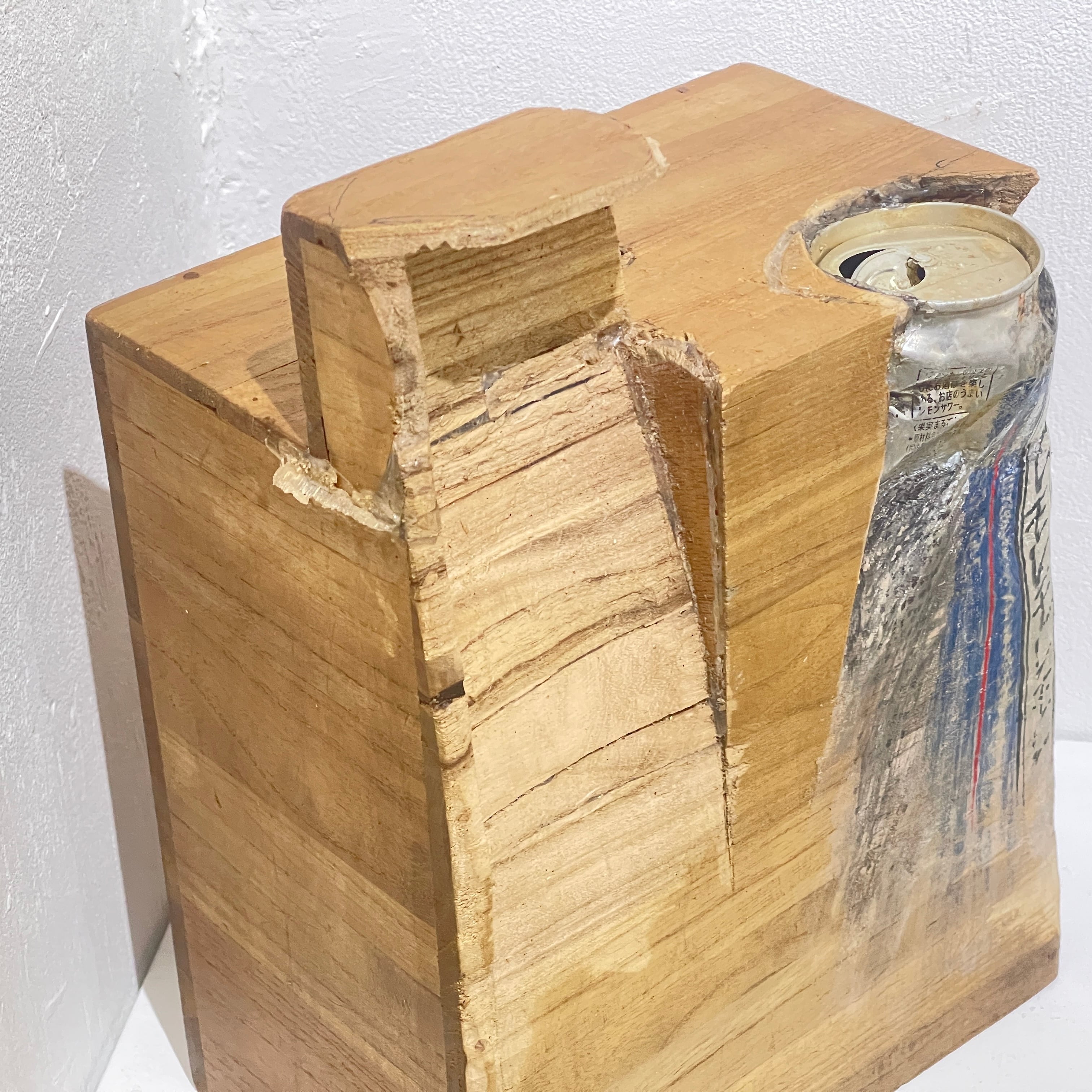 青野文昭｜なおす・代用・合体・連鎖・地縛「存在と影」2025