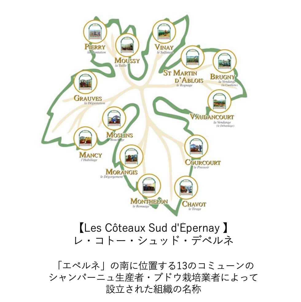 ★新着ワイン★【シャヴォスト】ブラン・ド・ムニエ  NV (2023)