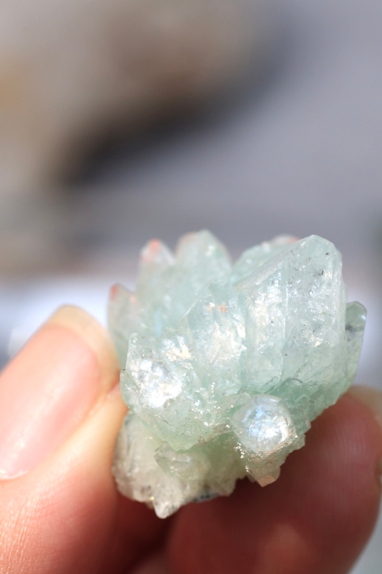 グリーンアポフィライト 「春の新芽」Green Apophyllite ◇ 天然石・鉱物・パワーストーン・原石 | st00357