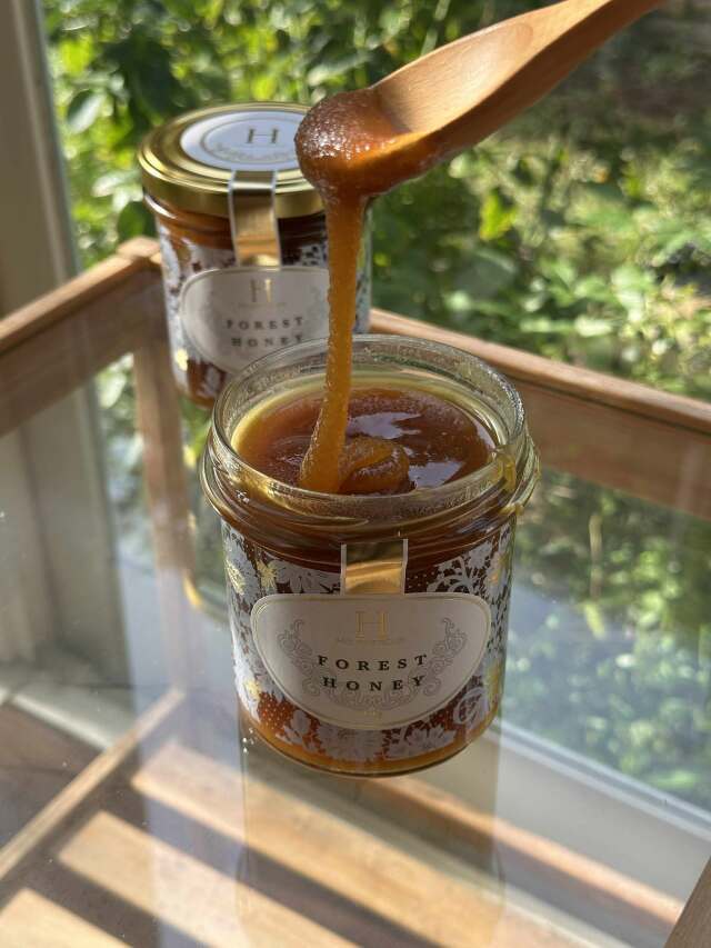 フォレストハニー Forest Honey 450g【HTQ】 | MARIPOSA organic store