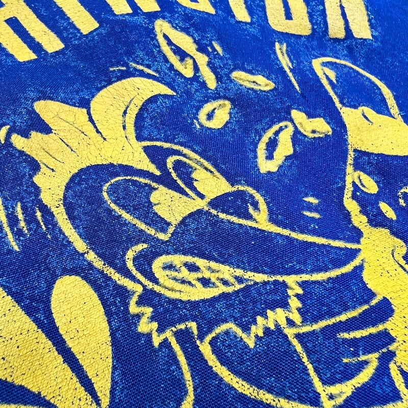 50's~ NAT NAST レーヨンボーリングシャツ WASHINGTON AIR GUARD