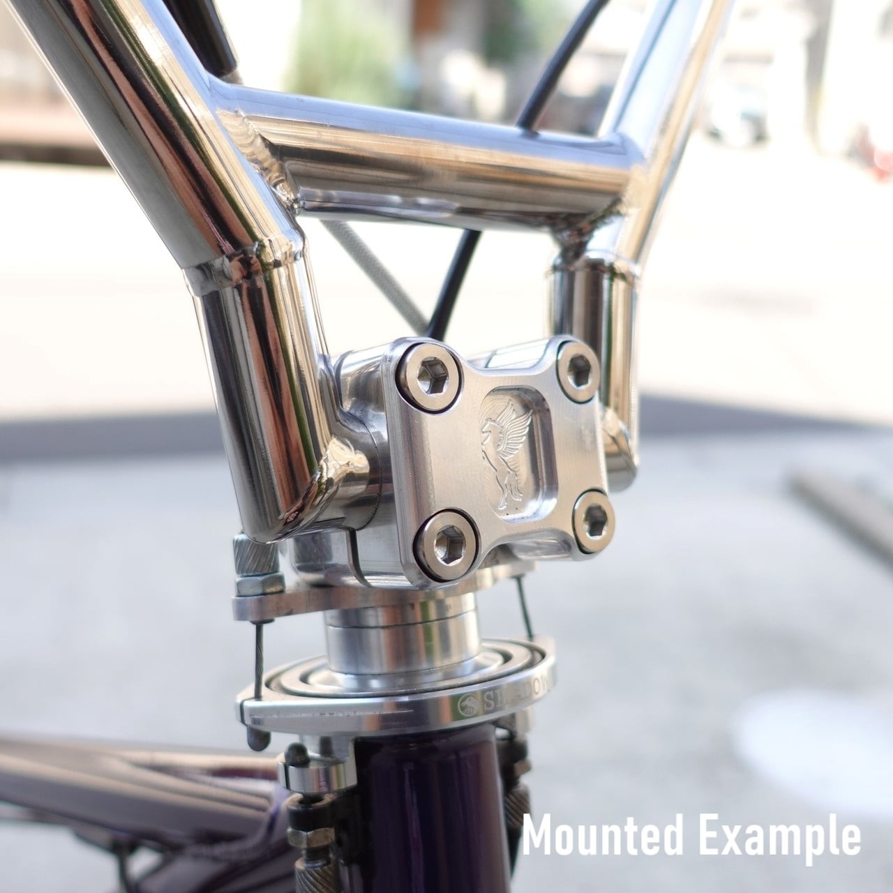 LAL / ステム用 チタンボルト (M8 x 25mm) 6本セット | LALBMX Online