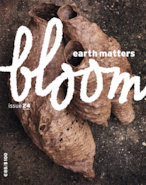 bloom ISSUE 24