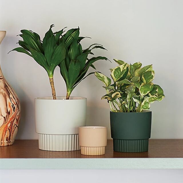 Ceramic Pot Farm Elma 13h 鉢カバー Yay Design Household Goods