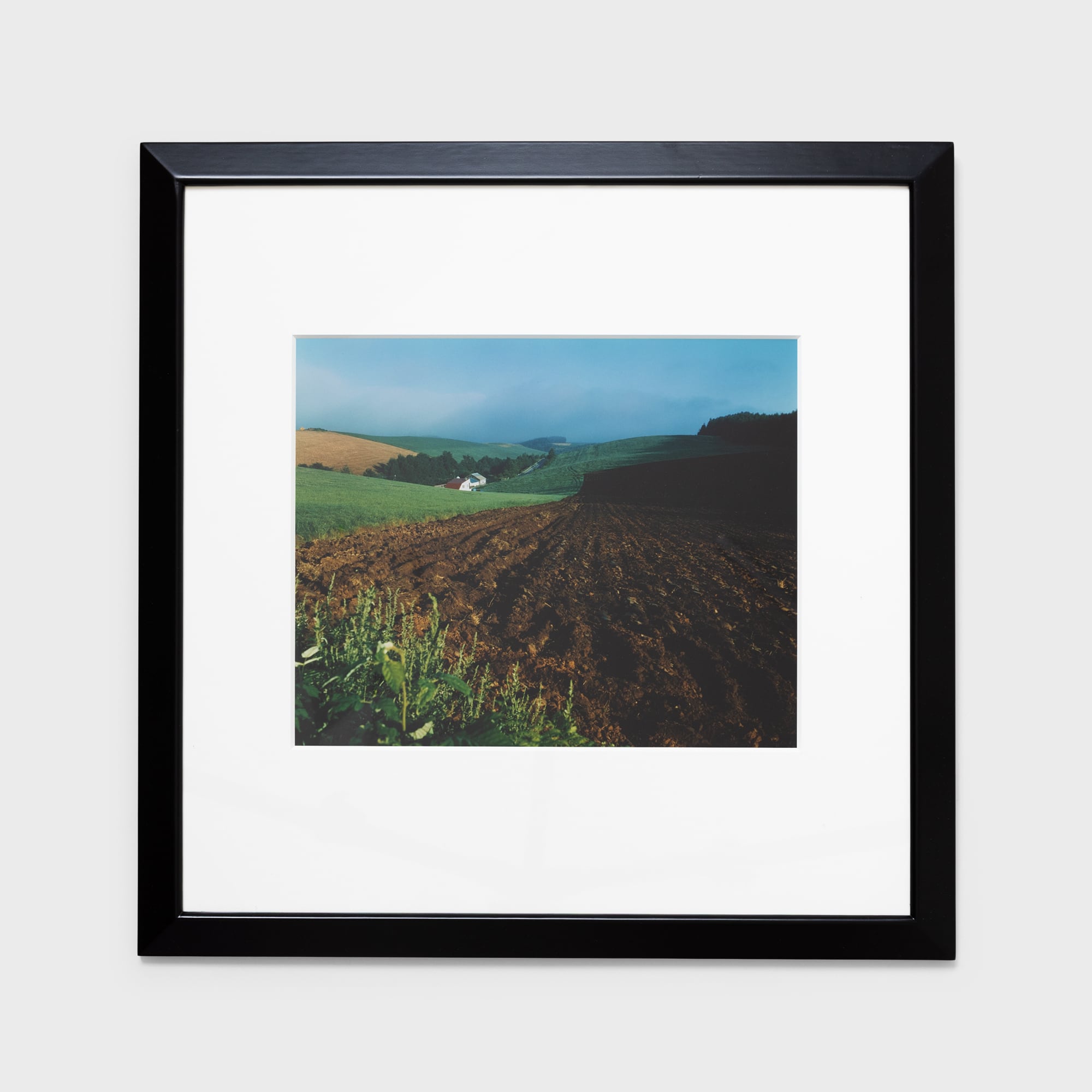 前田真三額装写真「秋の彩り」黒木額〈展示品〉 | 拓真館 TAKUSHINKAN