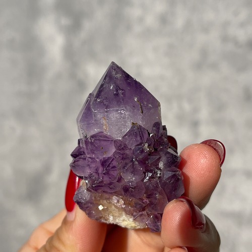 南アフリカ産 アメジスト カクタスクォーツ｜濃紫・オールドロット｜一点もの