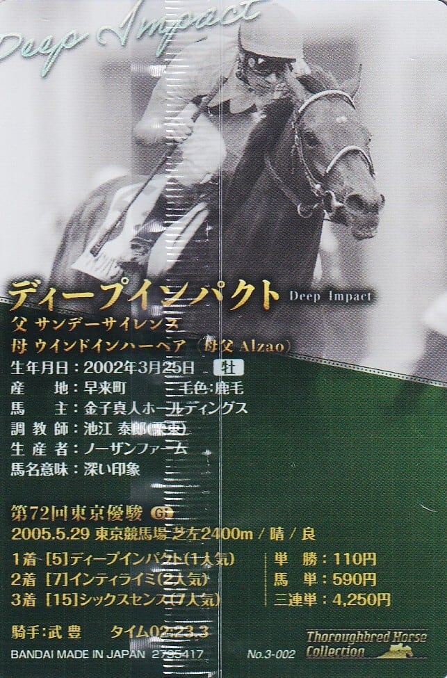金箔サイン入)ディープインパクト：第72回 東京優駿「サラブレッド
