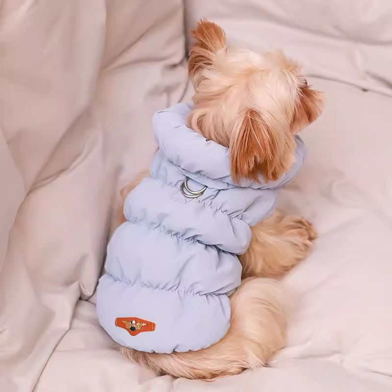 エレガントなペット服ショップ【MOCO】