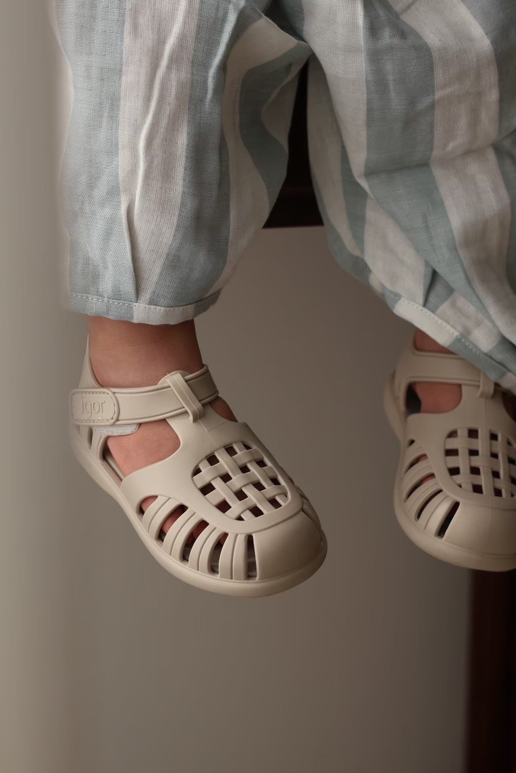 【予約】送料無料 igor / TOBBY SOLID / ARENA