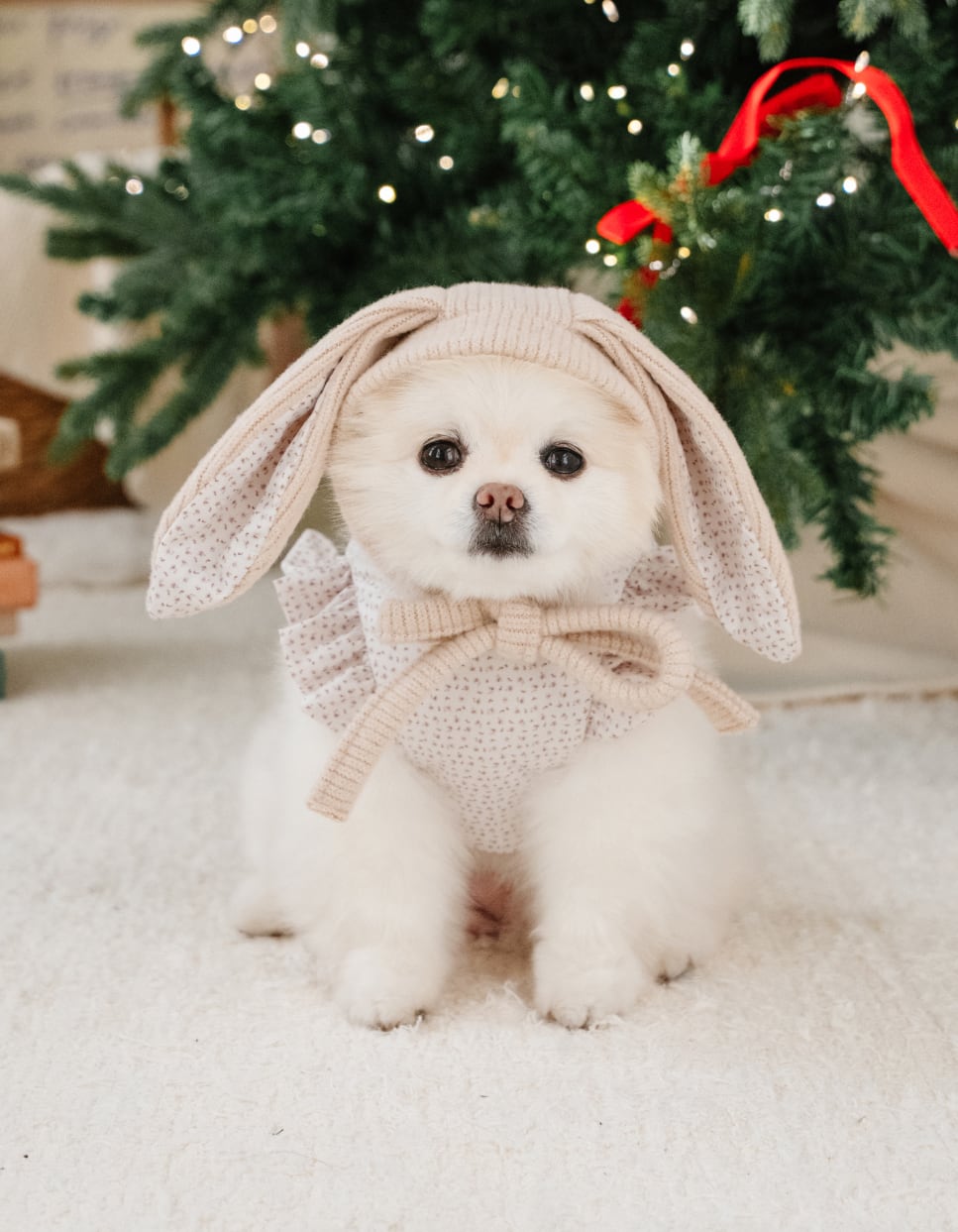 予約【Mabellefifi】Bouncy Bunny Knit Hat (Beige)