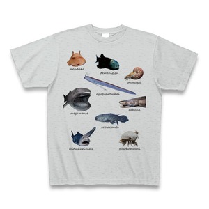 深海Tシャツ（９種）グレー