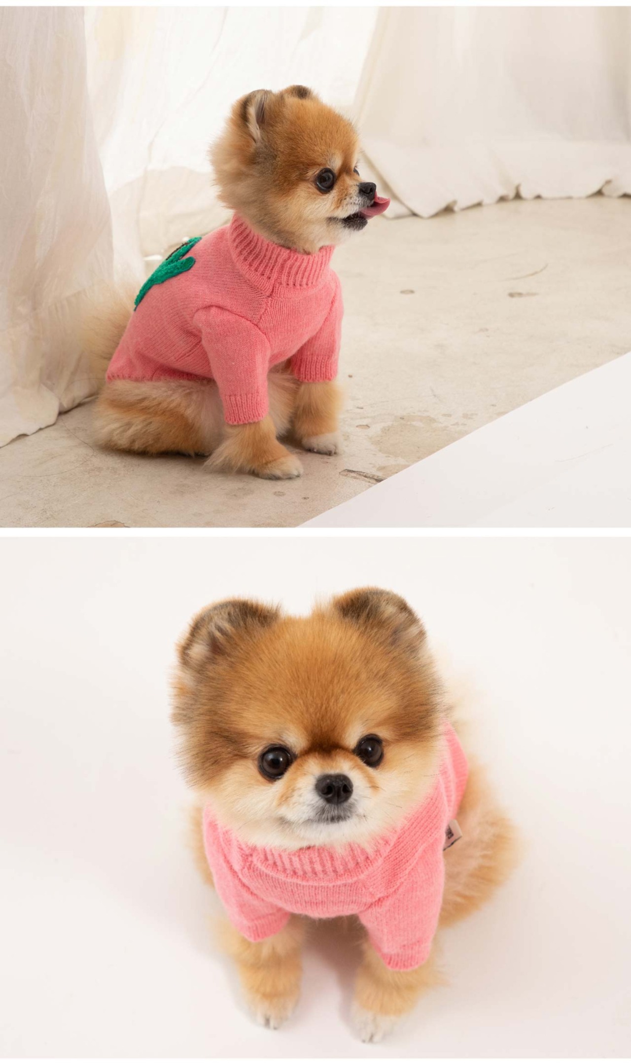 【PUPPYGALLERY公式】バナナマニアニット【pink】3XL