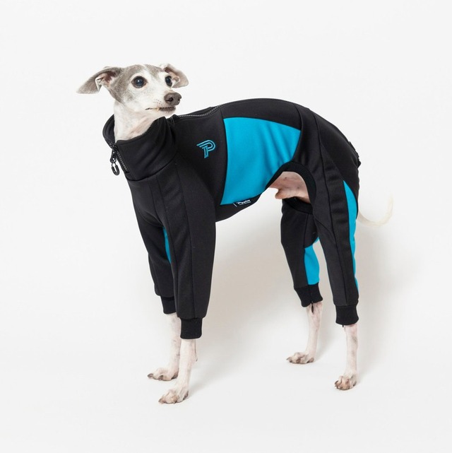 ドッグランジャージ　black × blue  / イタグレ服
