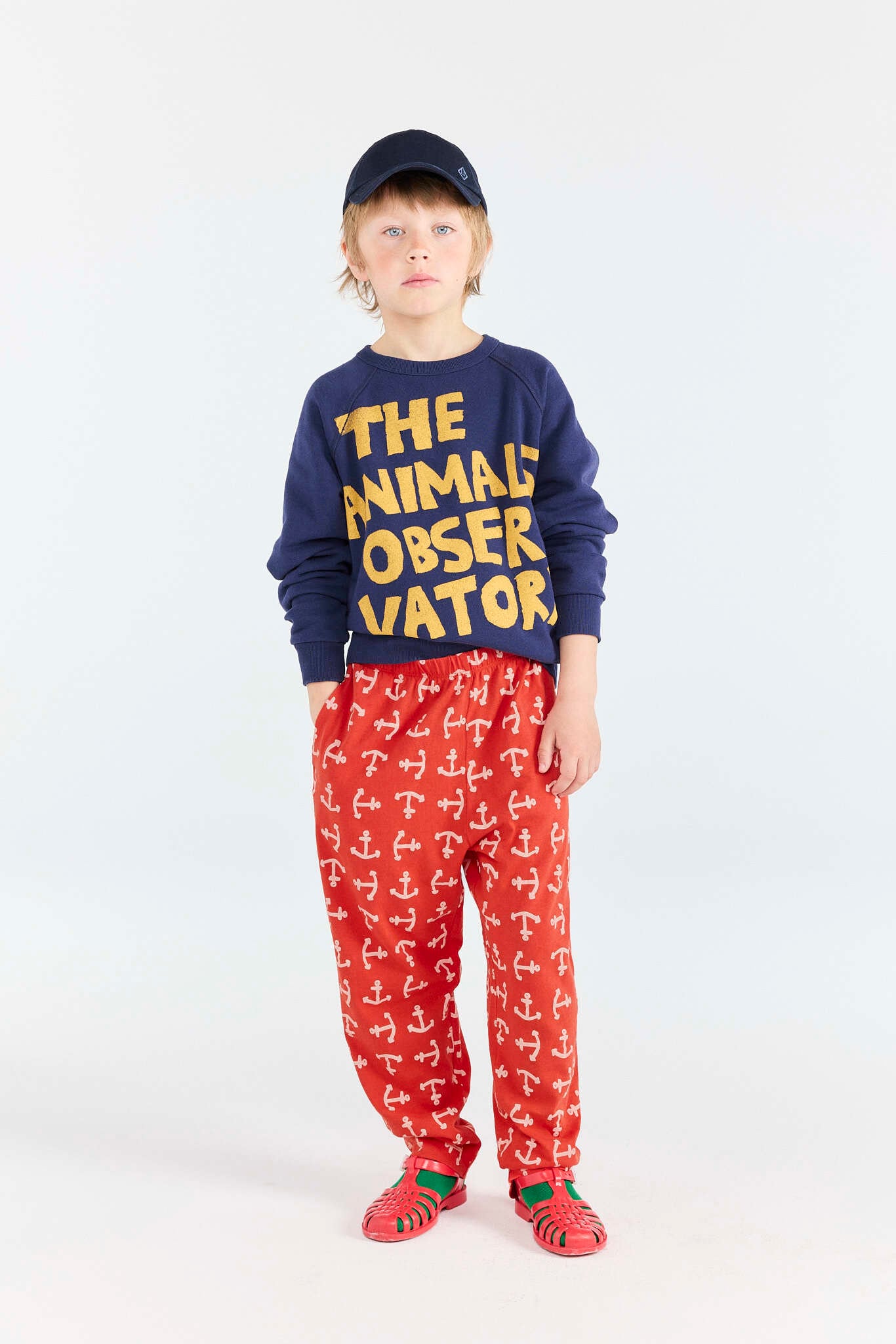 26SS】the animals observatory(TAO)SHARK KID SWEATSHIRT DEEP BLUE