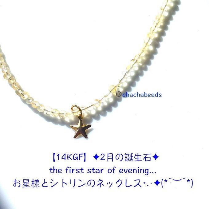 【一点物】【14KGF】✦11月の誕生石✦the first star of evening...お星様とシトリンのネックレス⋆.·✦