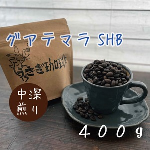 グアテマラ　SHB　（中深煎り）400g