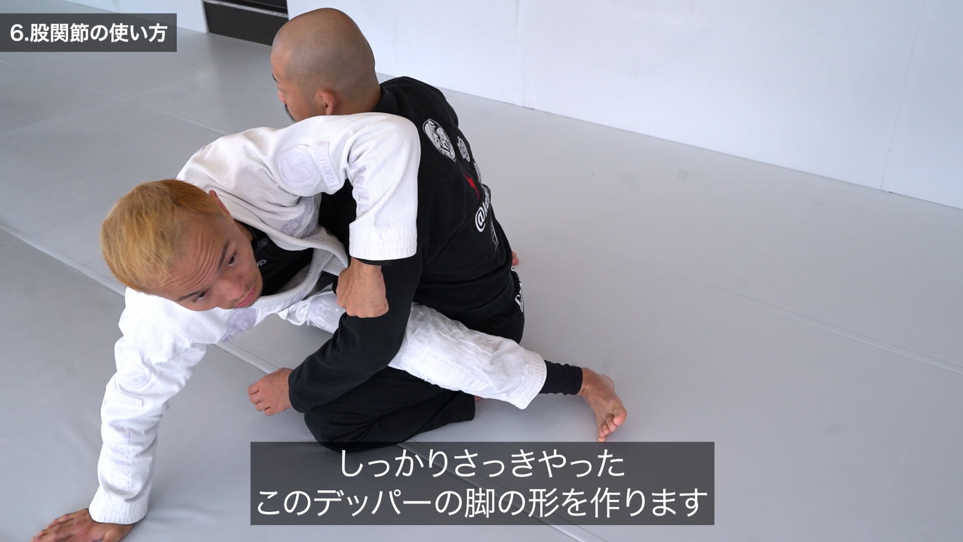 【柔術DVD】松本一郎 TENSEGRITY 79e7dba7494dc47f6d43c10c6e2639