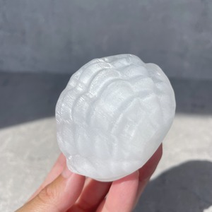 セレナイト シェル型ボウル11♢Selenite Shell Bowl♢天然石・鉱物・パワーストーン